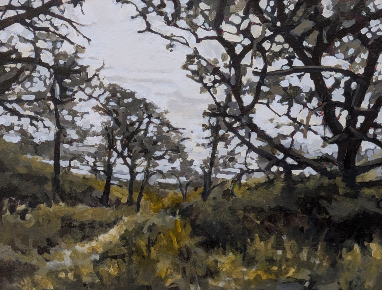saltfineart — // SMALL